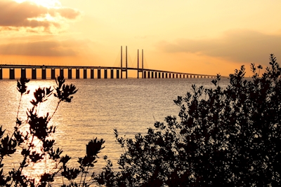 Øresund Bridge 
