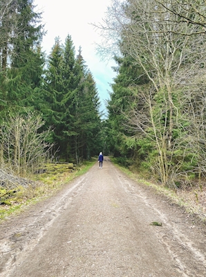 Caminhada na floresta