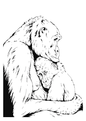 Ape mamma