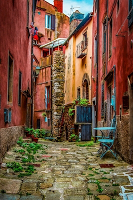 The Colorful Alley