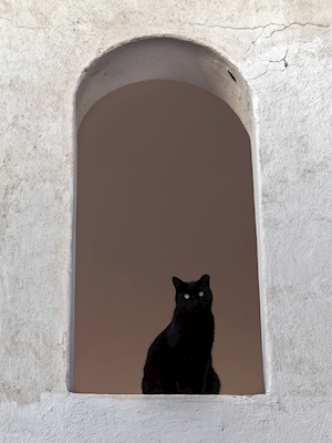 Kočičí okno