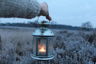 Winter's Light