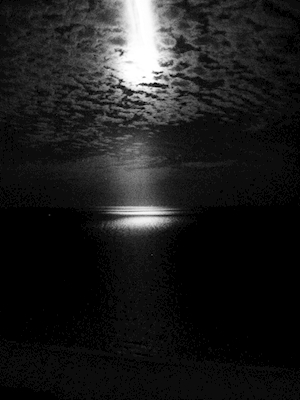 Maanlicht boven miami's middernacht