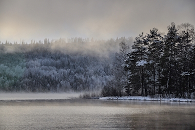 Neblina sobre o lago