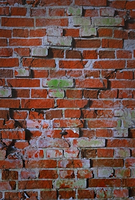 A parede de tijolos