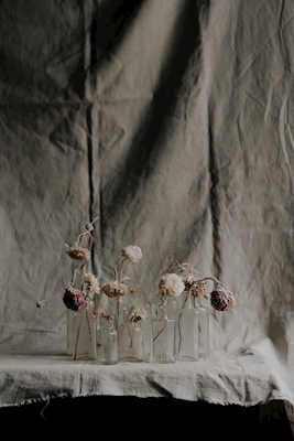 Dried Flowers I.