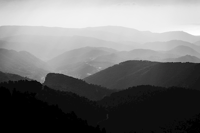 Neblina nas montanhas