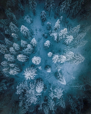 Floresta de Inverno Aconchegante - Parte Dois