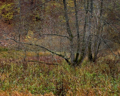 Herbst im Nationalpark