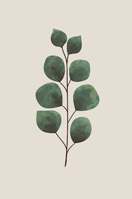 Eukalyptus (grön)