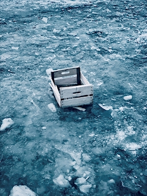 Au bord de la glace