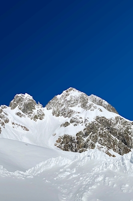 Alpský vrchol