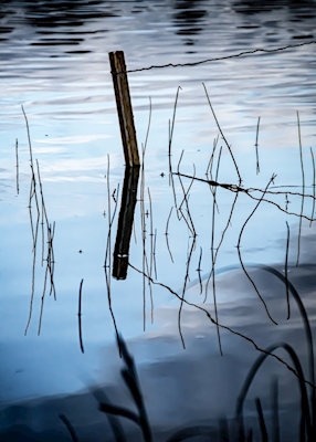 Refleksioner i søen