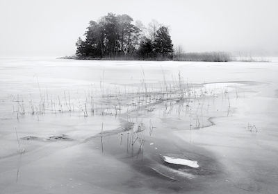 Neblina no lago congelado