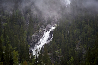 Wasserfall und Wald