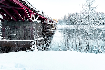 Bridge iver Winter river