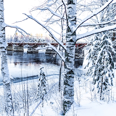 Bridge in the winter 