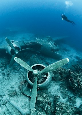 The wreck of an airplane