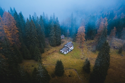 Hytte i skogen