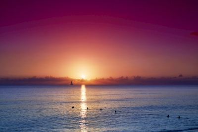 Caraïbische Zonsondergang 
