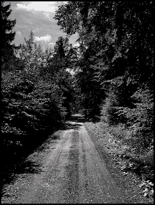 Estrada em preto e branco