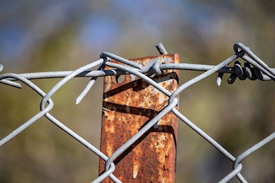The barbed wire