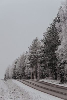 De weg van de winter