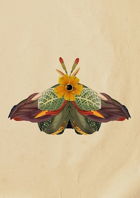 A mariposa