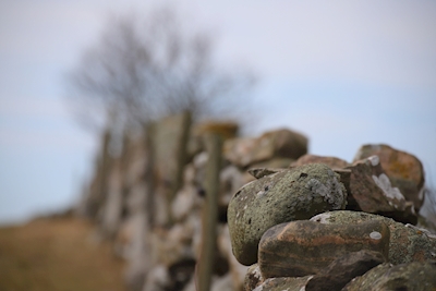 Muro in pietra 