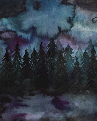 Forêt nocturne