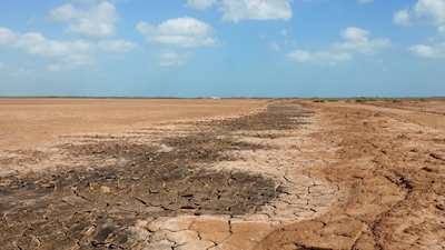Desertification on Guajira