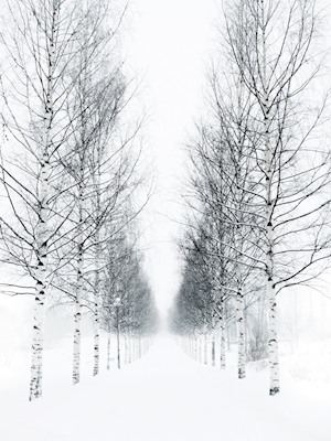 Alleyway in winter