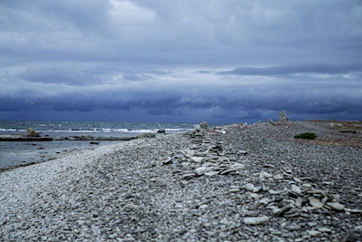 Kamienista plaża na Fårö, Gotlandia