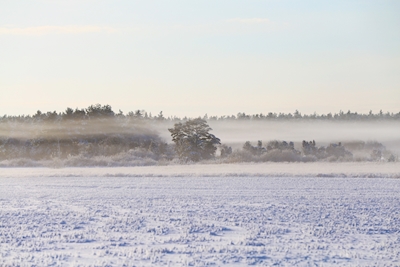 Zimní den na Gotlandu