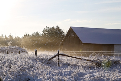 A winterday viewing a barn