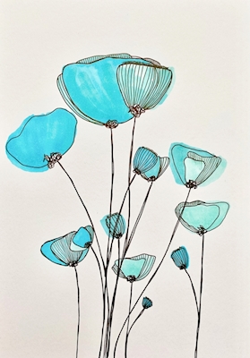 Blue Poppys