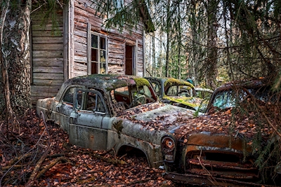 Cemetery of old cars 