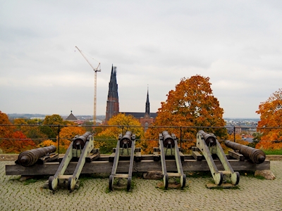 Herbst in Uppsala