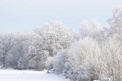 Givre