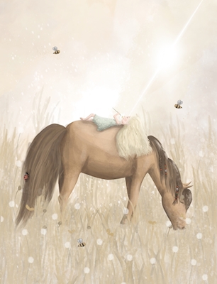 Dívka na koni