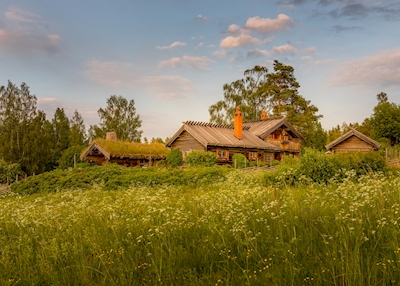 Het huis op het platteland 