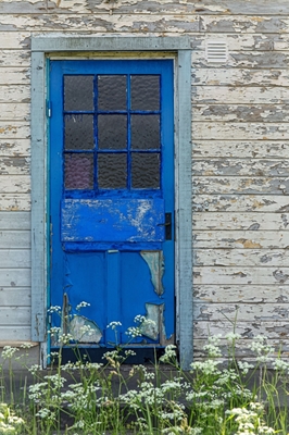 Dörr i blått med sommarblommor