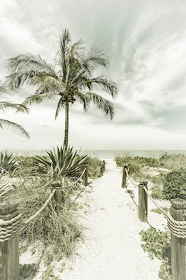 Path to the beach | Vintage