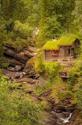 Forest house i Åre