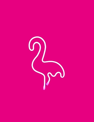 Flamingon Neon