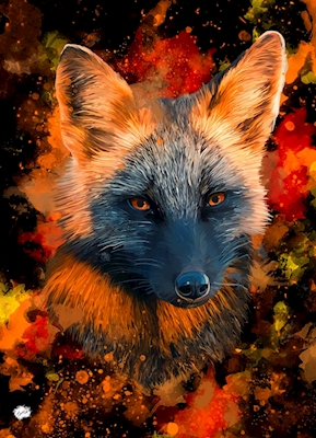 Melanistic fox