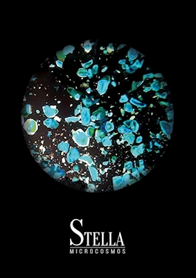 STELLA - BLACK
