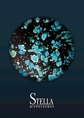 STELLA - BLUE