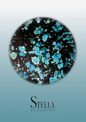 STELLA - LIGHT BLUE