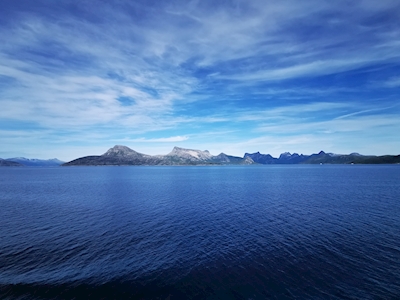 Excursion en bateau aux Lofoten